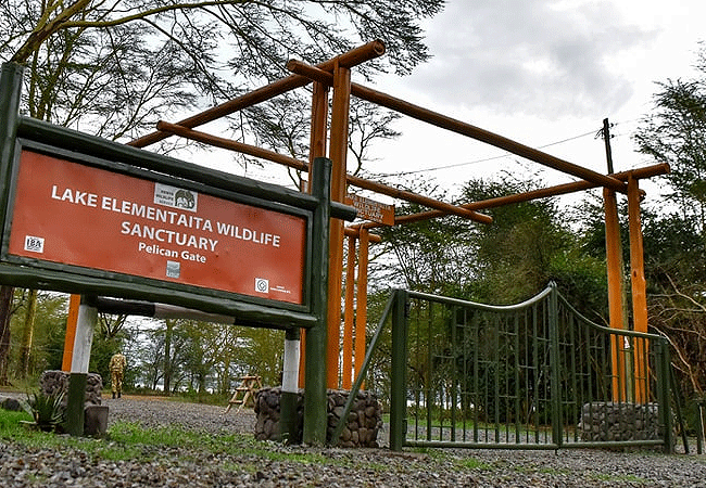 Package Image